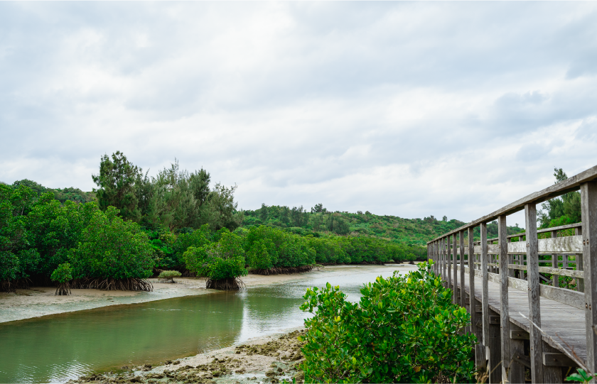 島尻マングローブ公園