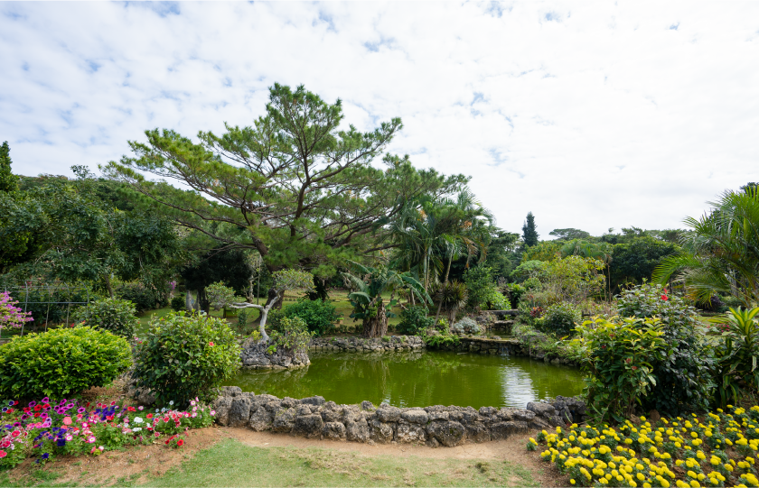 宮古島市熱帯植物園