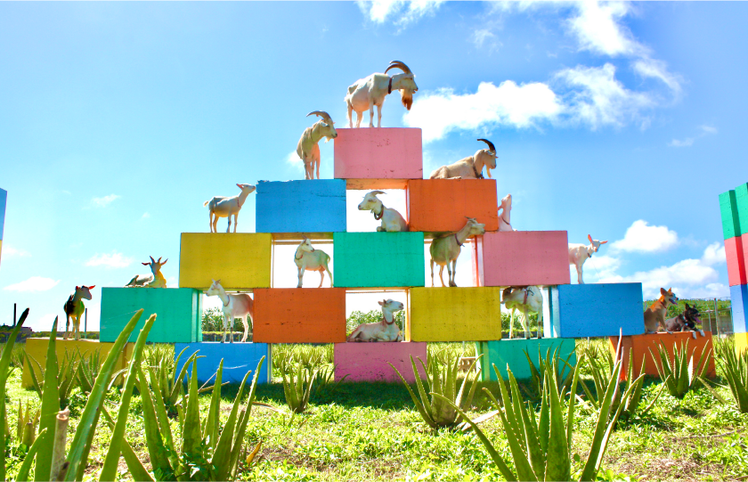 しろう農園 go at cafe (カフェ&ふれあい牧場)